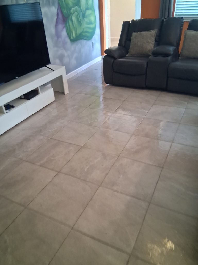 apopka tile cleaner
